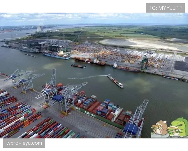 布鲁日防线持续稳固，助力区域安全与合作前景向好